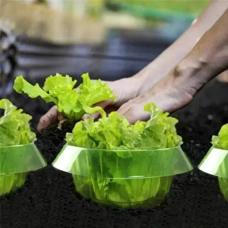 Plants Slug Protection Rings V - Gardening Tools Green 리뷰 및 가격