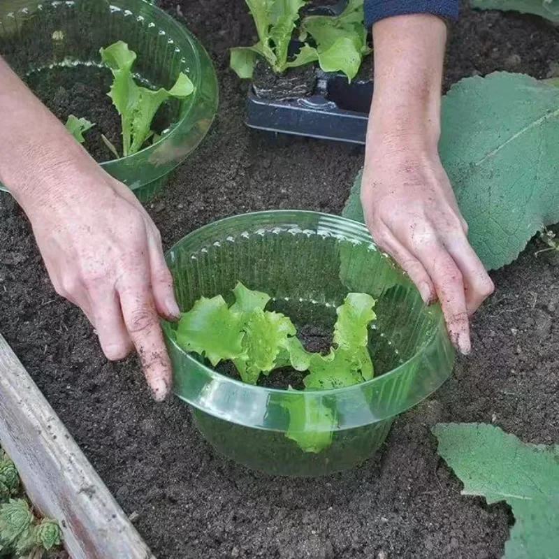 Plants Slug Protection Rings V - Gardening Tools Green 리뷰 및 가격