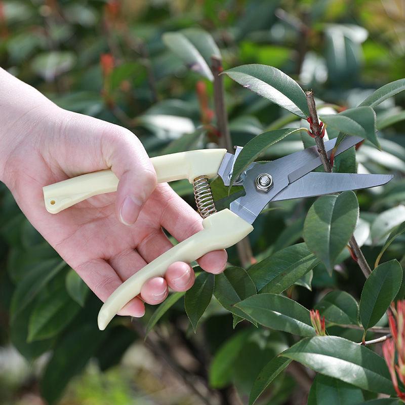 Stainless Steel Pruning Scisso - Gardening Tools To Cut Branches 리뷰 및 가격