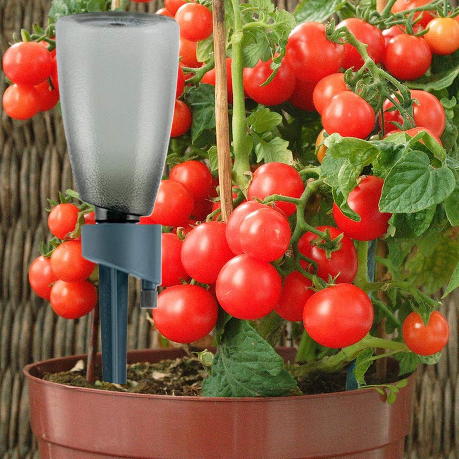 6pcs Automatic Drip Irrigation - Gardening Tools Kit For Home Garden 리뷰 및 가격
