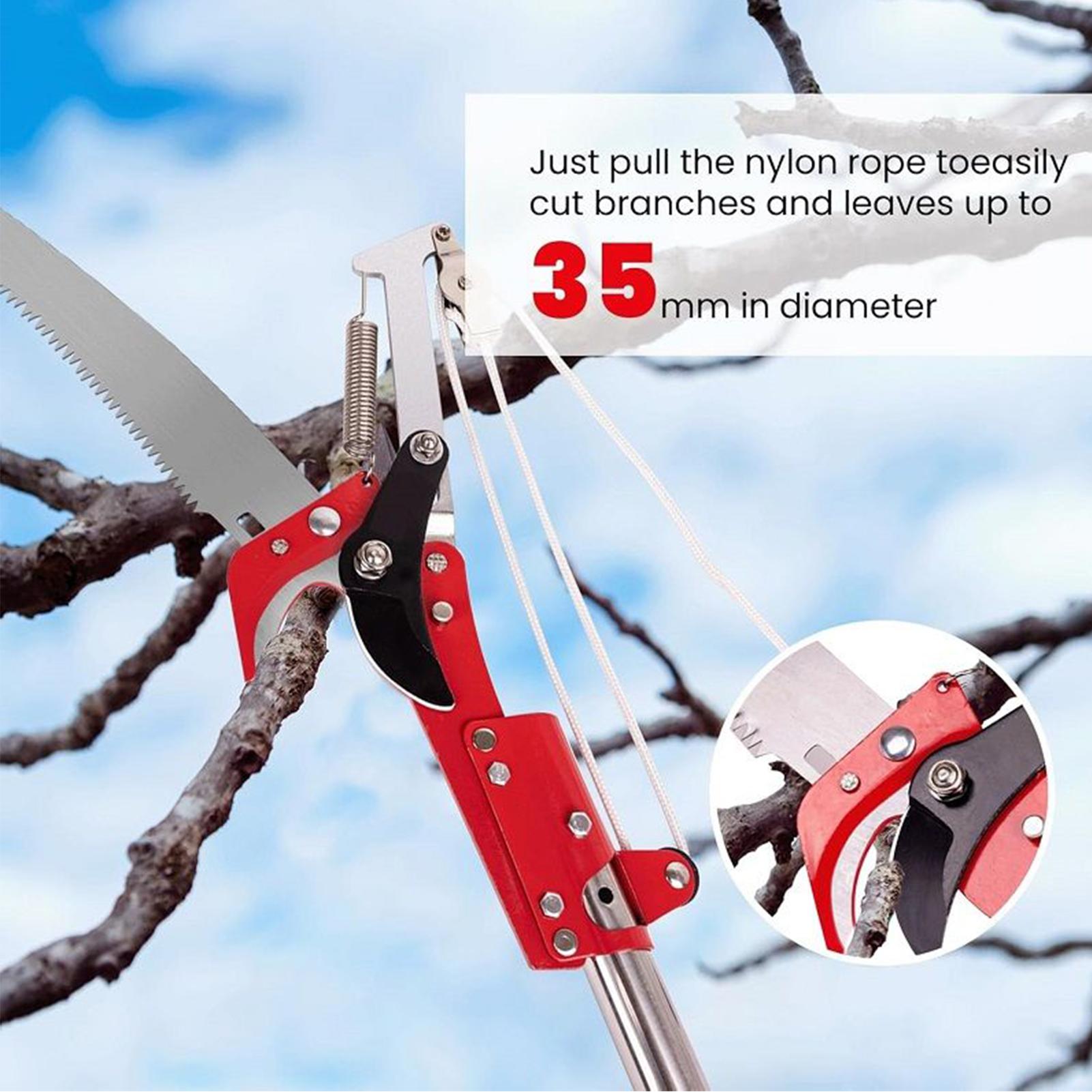 Tree Pruner  Branches Cutter P - Gardening Tools To Cut Branches 리뷰 및 가격