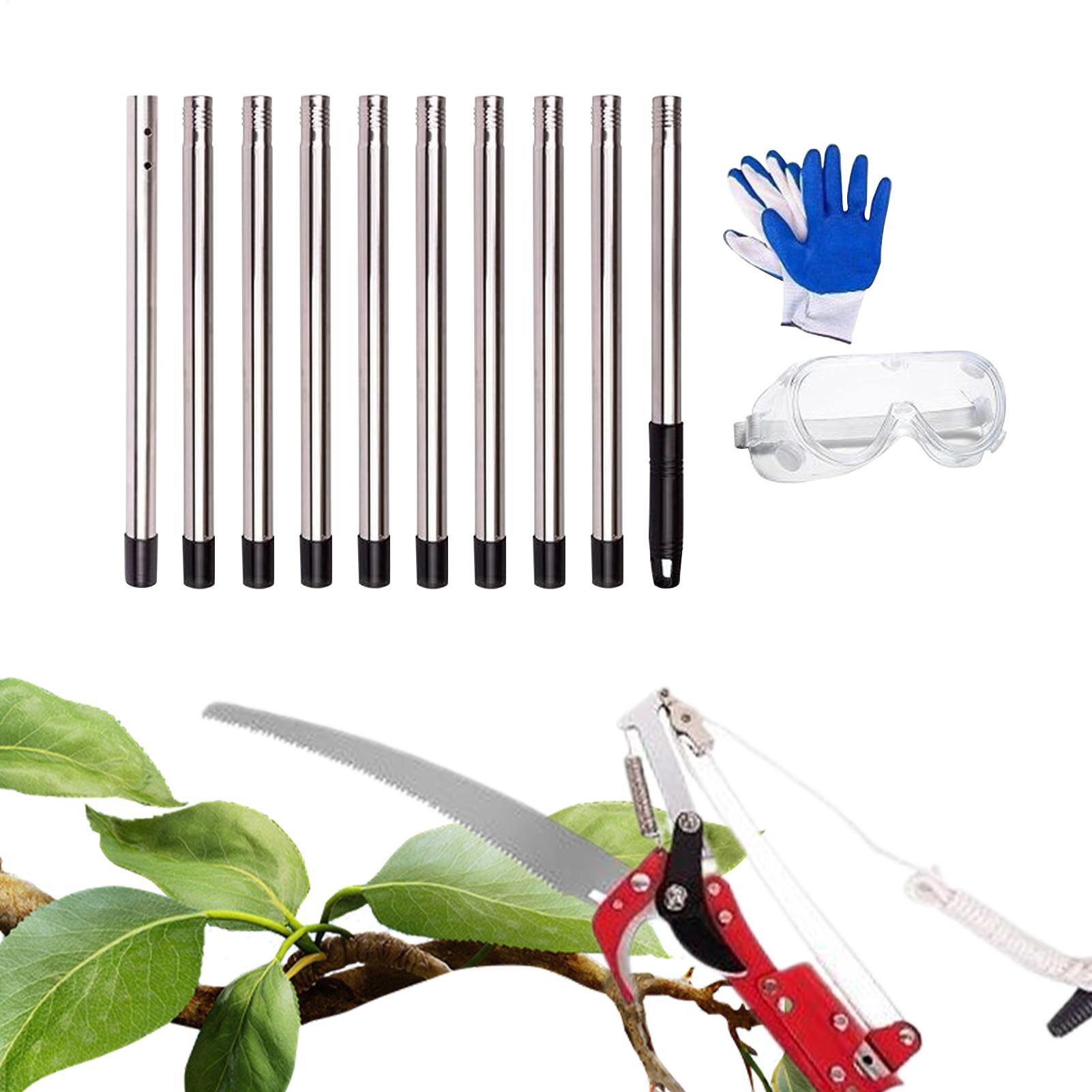 Tree Pruner  Branches Cutter P - Gardening Tools To Cut Branches 리뷰 및 가격