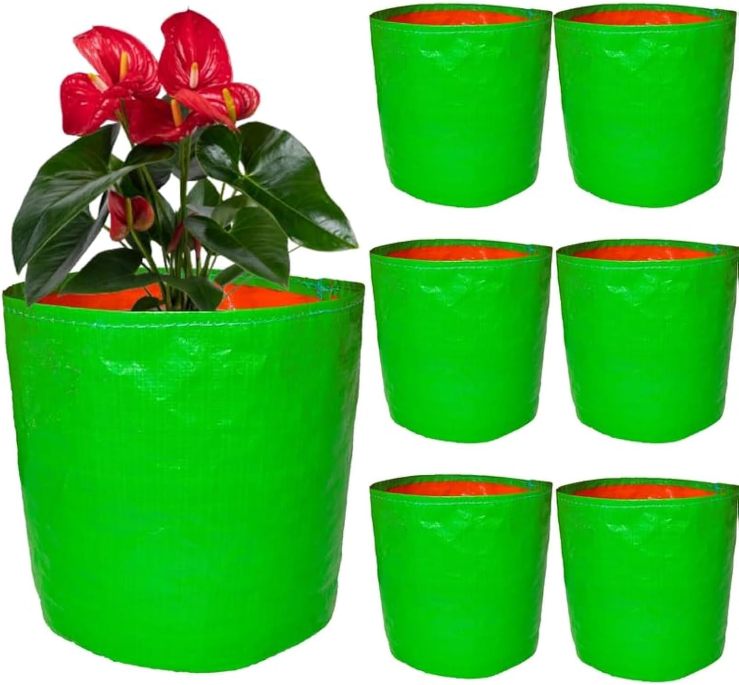 Garden Grow Bags Fabric Pots F - Grow Bags 리뷰 및 가격