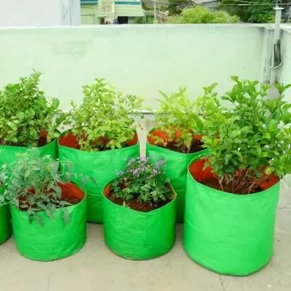 Garden Grow Bags Fabric Pots F - Grow Bags 리뷰 및 가격